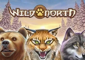 Wild North thumbnail